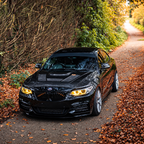 BMW F22/F23/F87 M2 - Keltaiset DRL valot (xenon) RayLights™