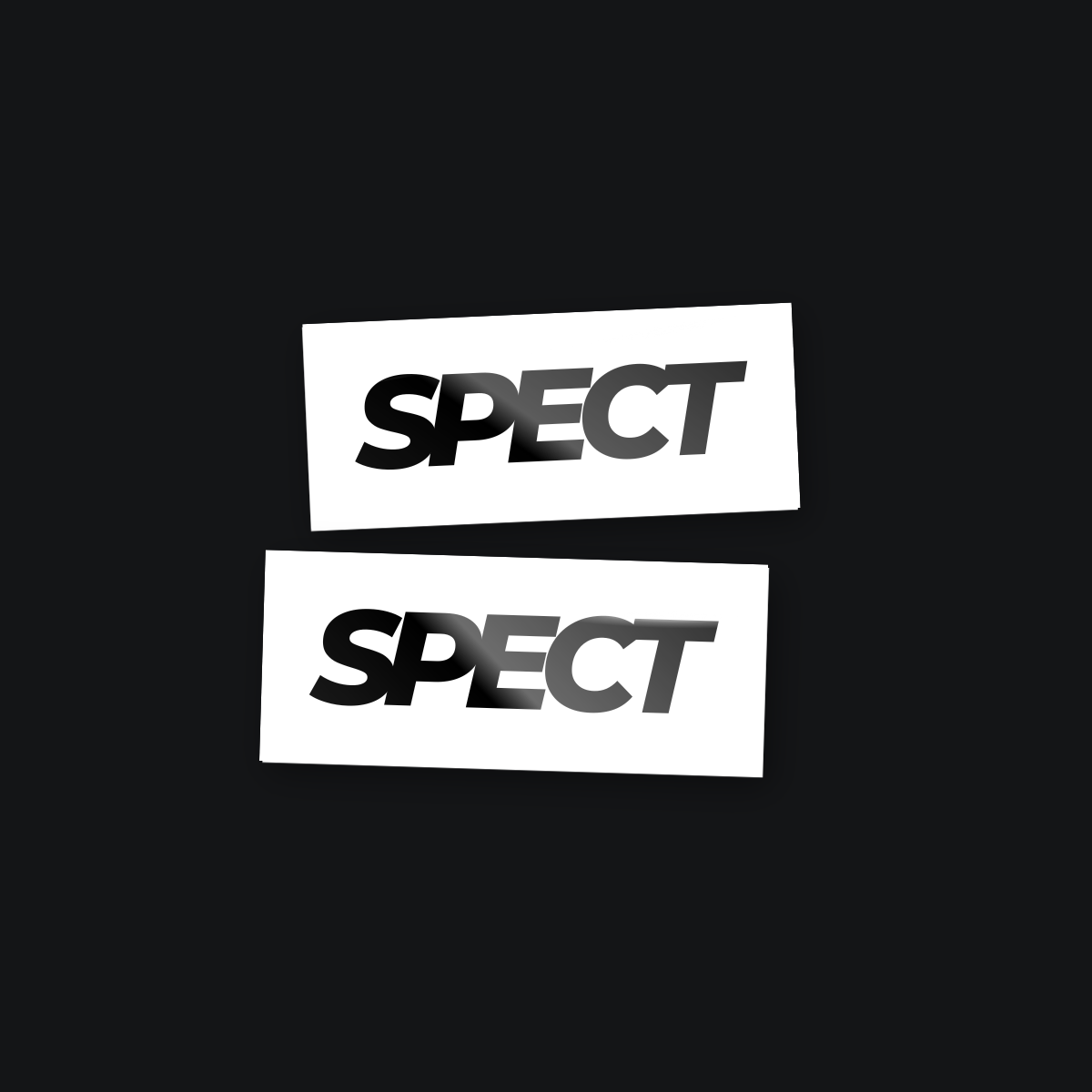 Spect Classic tarra 4x7cm 2kpl